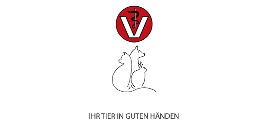 Dr. med. vet. Thomas Mengel – Fachtierarzt für Kleintiere - Tierarztpraxis Dr. Thomas Mengel